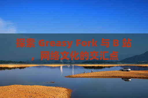 探索 Greasy Fork 与 B 站，网络文化的交汇点